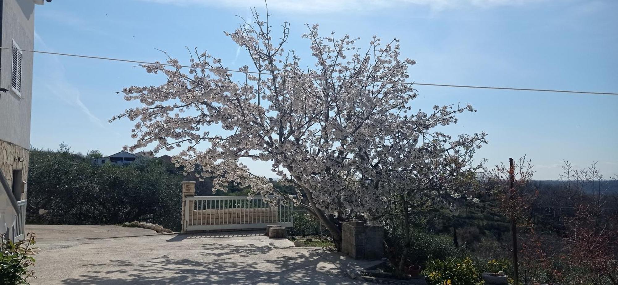 Ražanac Apartman Tina מראה חיצוני תמונה